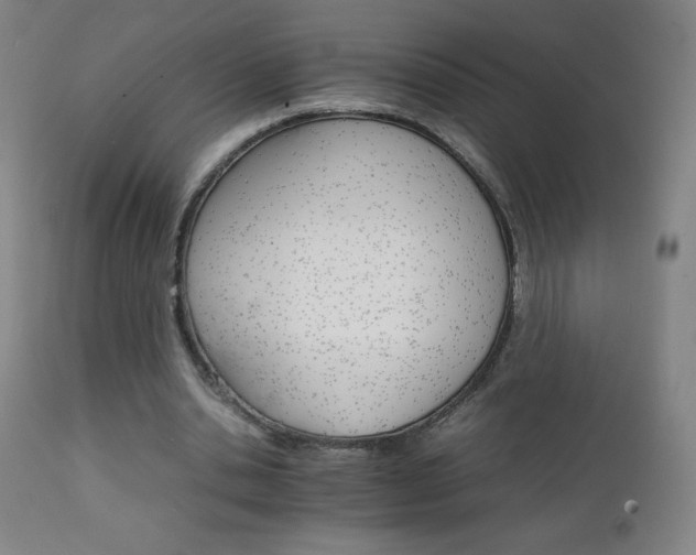 X0000111230438200907021402