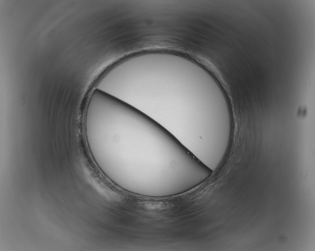 X0000111230439200907021402