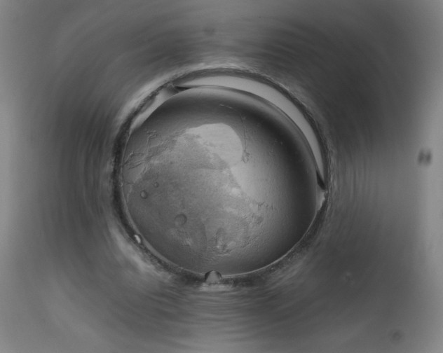 X0000111230440200907021402