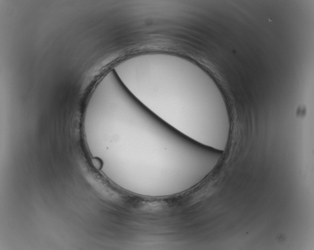 X0000111230446200907021402