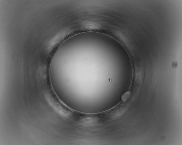 X0000111230447200907021403