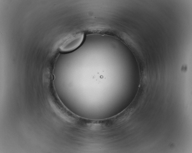 X0000111230448200907021403
