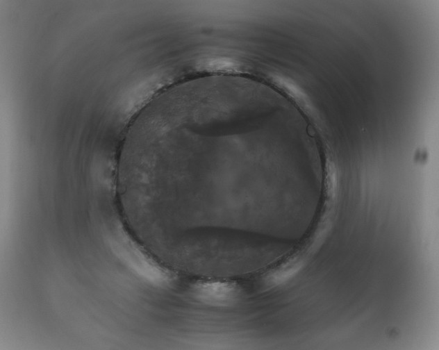 X0000111230449200907021403