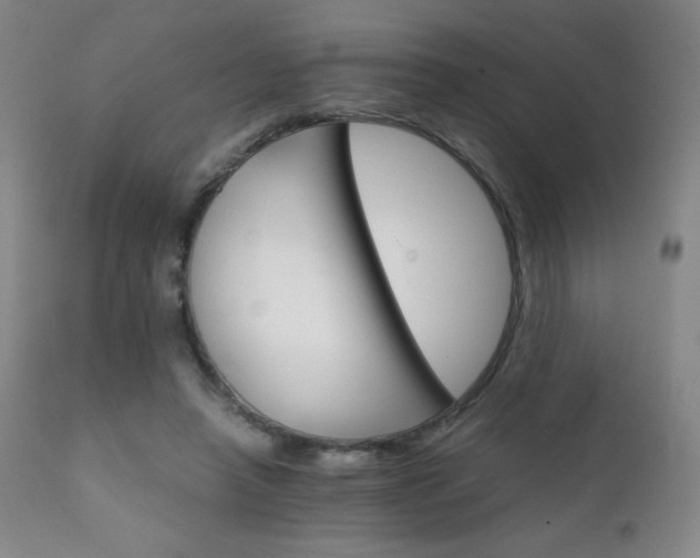 X0000111230450200907021403
