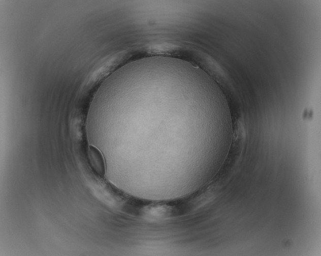 X0000111230452200907021403
