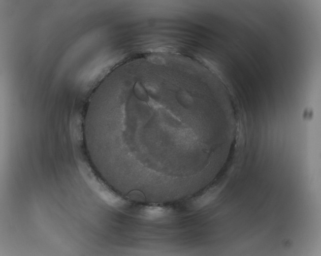 X0000111230453200907021403