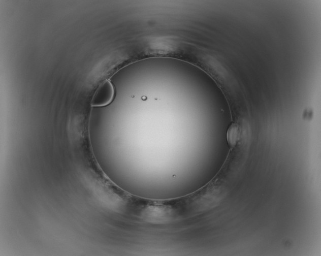 X0000111230455200907021403