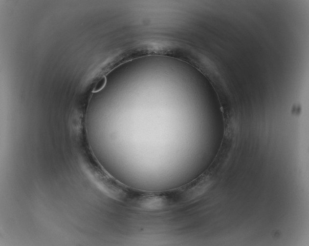 X0000111230456200907021403