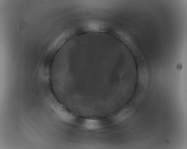 X0000111230457200907021403