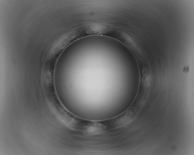 X0000111230459200907021403