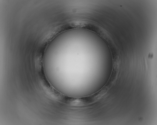 X0000111230460200907021403