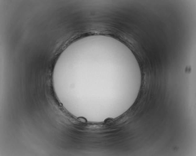 X0000111230461200907021403