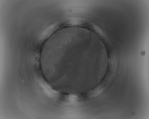 X0000111230462200907021403