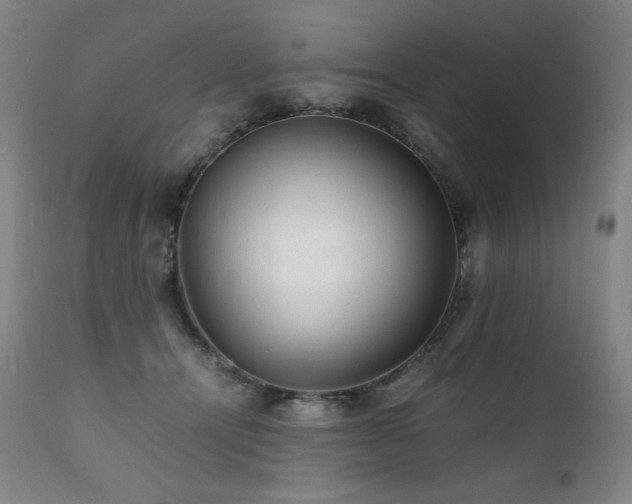 X0000111230464200907021403