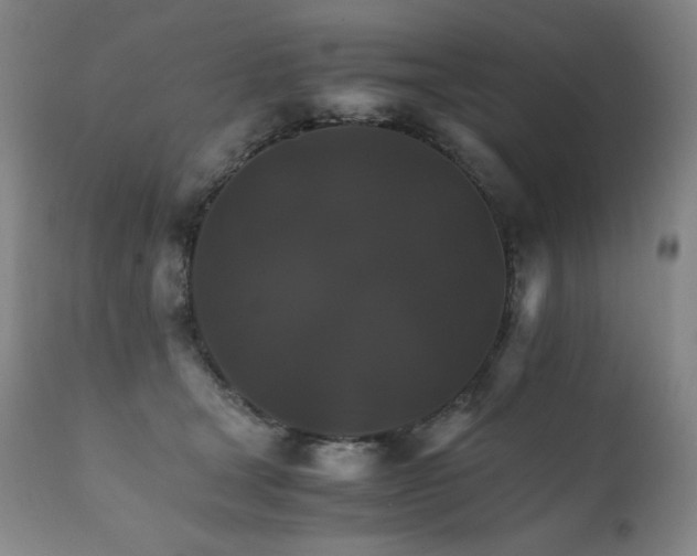 X0000111230465200907021403