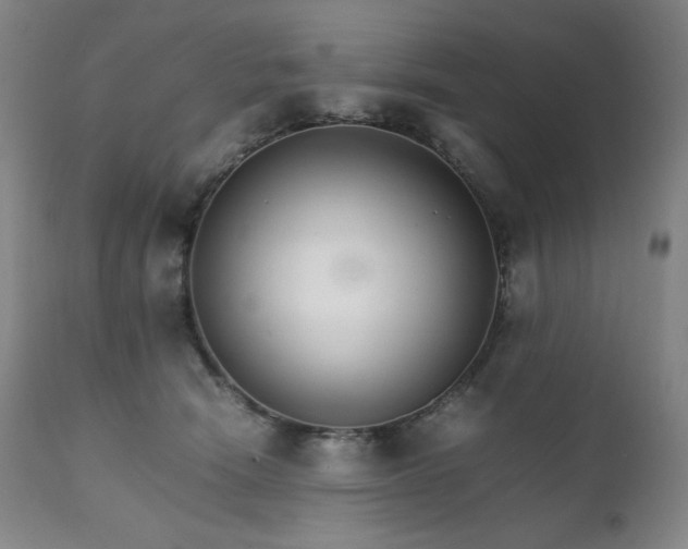 X0000111230466200907021403
