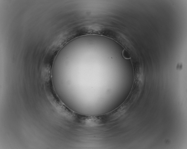 X0000111230468200907021403