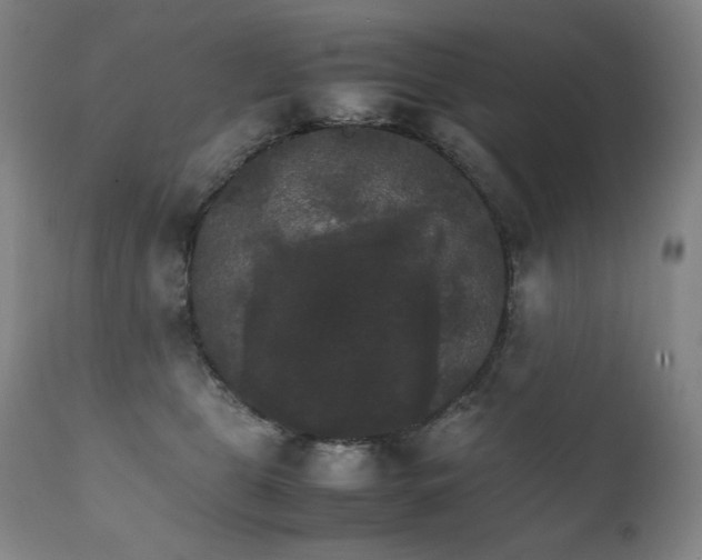 X0000111230469200907021403