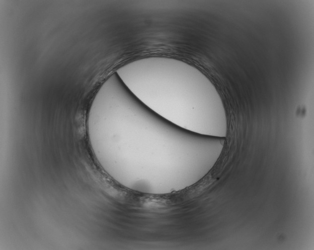 X0000111230471200907021403