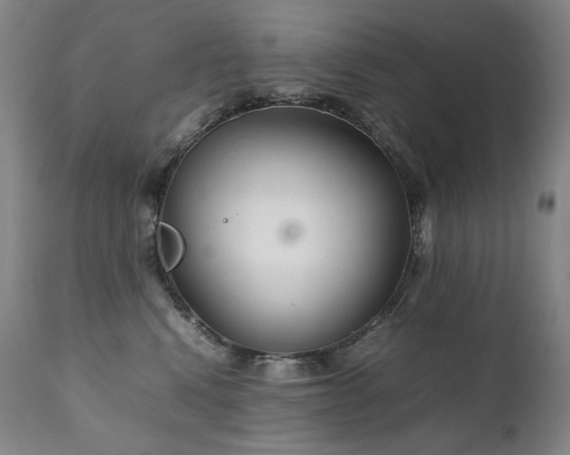 X0000111230472200907021403