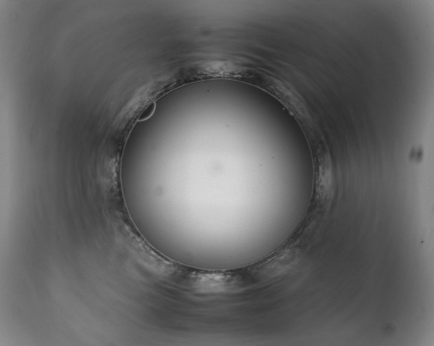 X0000111230473200907021403