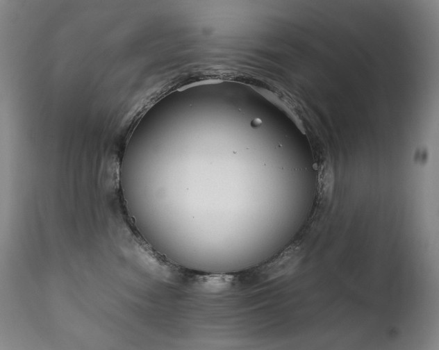 X0000111230474200907021403