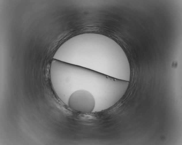 X0000111230475200907021403