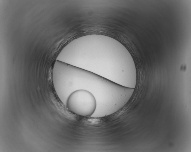 X0000111230478200907021403