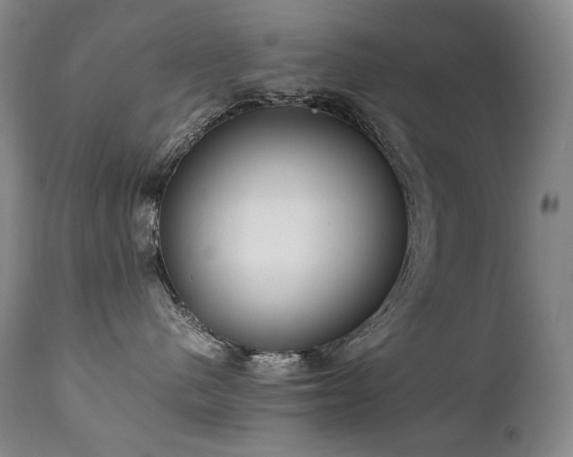 X0000111230480200907021403