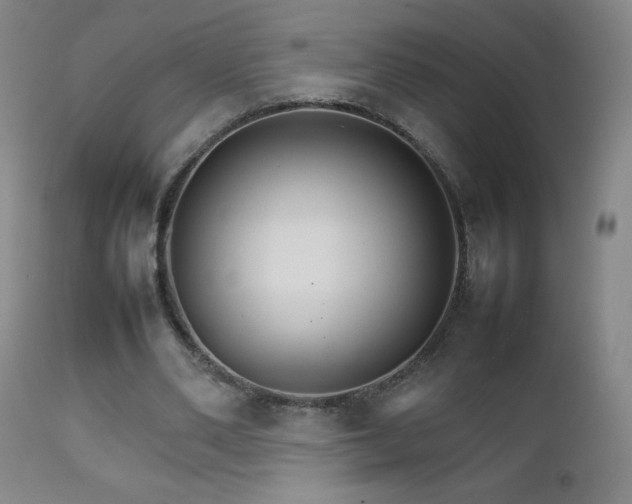 X0000111230486200907021402