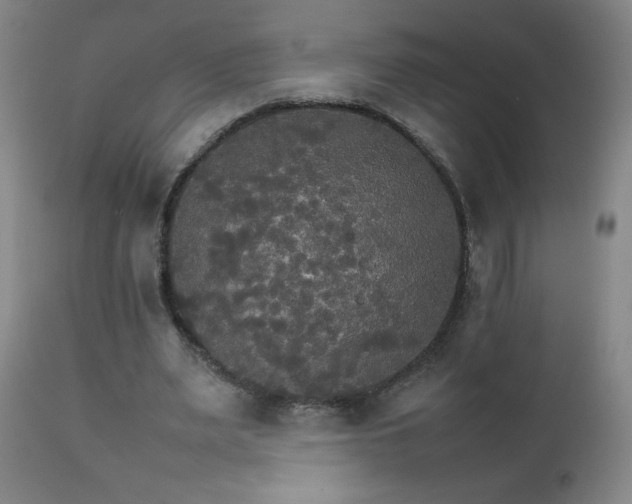 X0000111230487200907021402