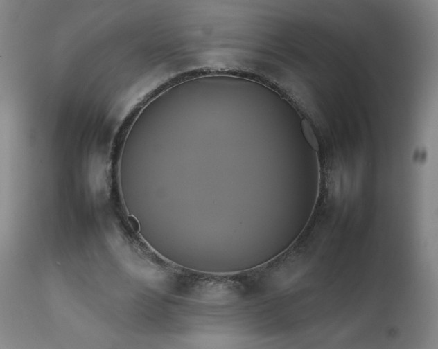 X0000111230488200907021402