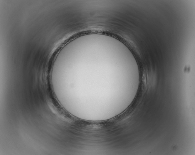 X0000111230492200907021402