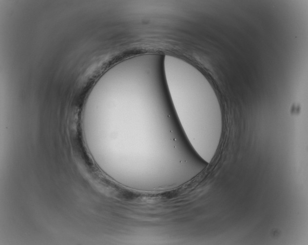 X0000111230495200907021402