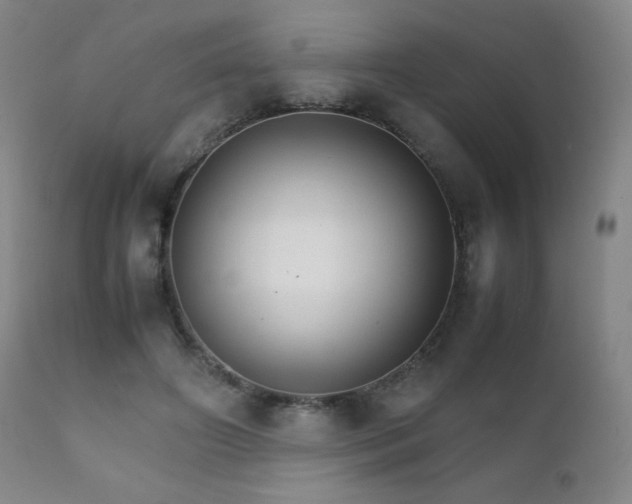 X0000111230498200907021402