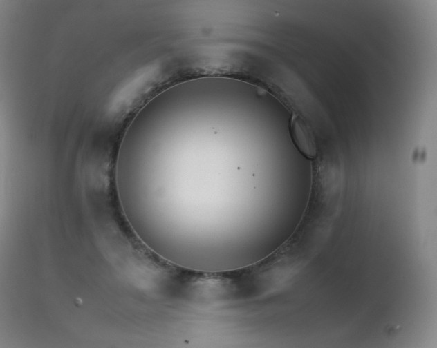 X0000111230499200907021402