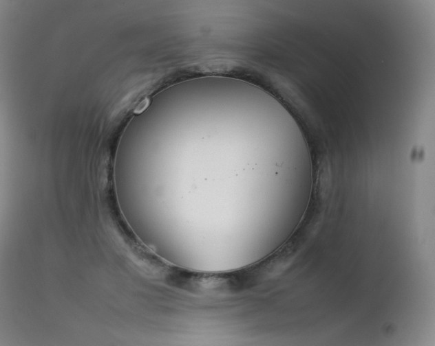 X0000111230501200907021402