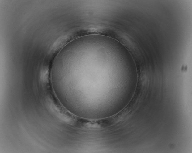 X0000111230502200907021402