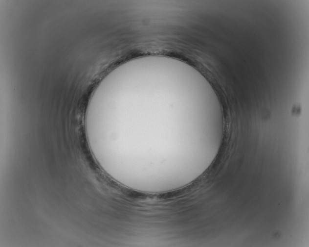 X0000111230503200907021402