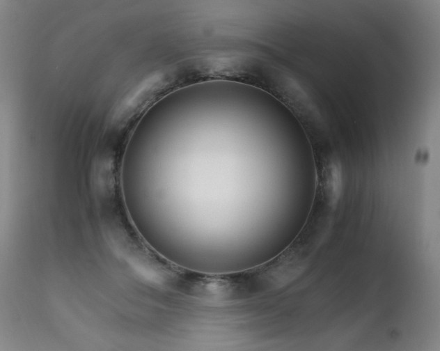 X0000111230506200907021402