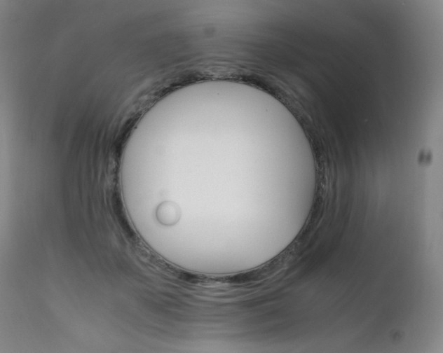 X0000111230507200907021402