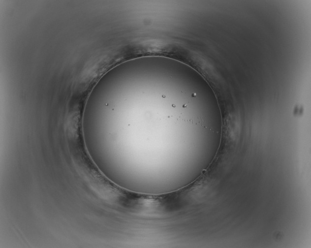 X0000111230509200907021402