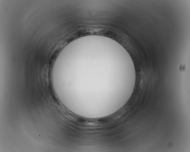 X0000111230510200907021402