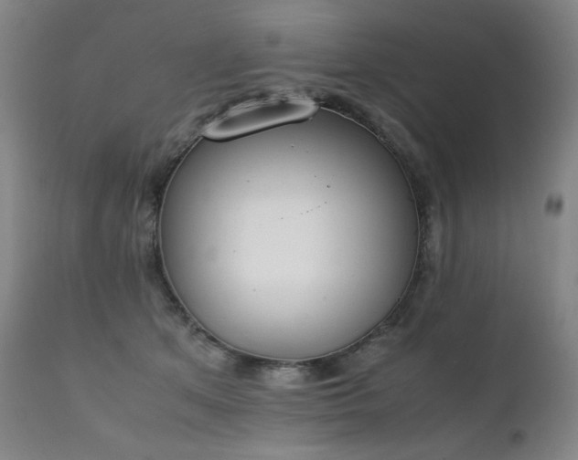 X0000111230513200907021402