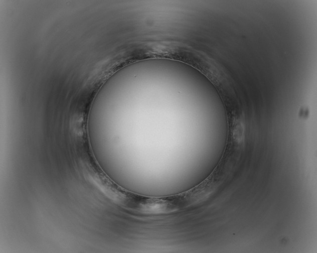 X0000111230514200907021402