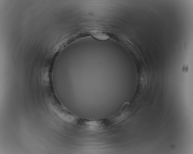 X0000111230516200907021402