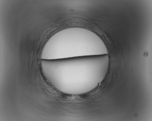 X0000111230517200907021402