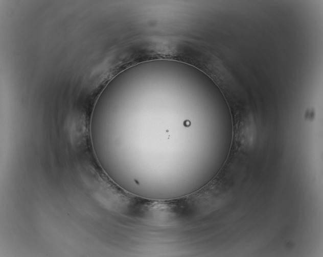 X0000111230518200907021402