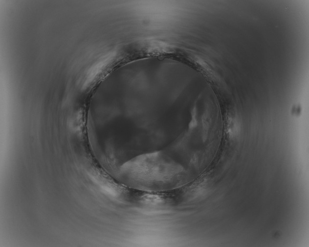 X0000111230519200907021402