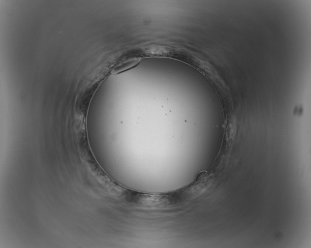 X0000111230521200907021402